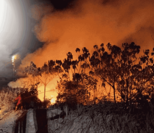 Karhutla Jadi Bara di Kalimantan, Jangan Cuma Bangga Punya Kader di Kekuasaan, Muhammadiyah Harus Berani Bersikap!